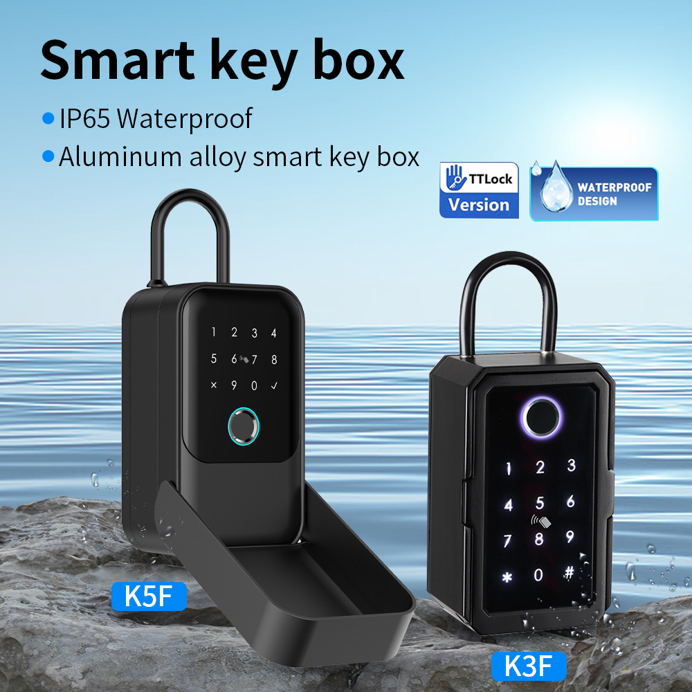 Tuya Smart Life App or TTLock  - огляд і ціна Lockbox Key Secure