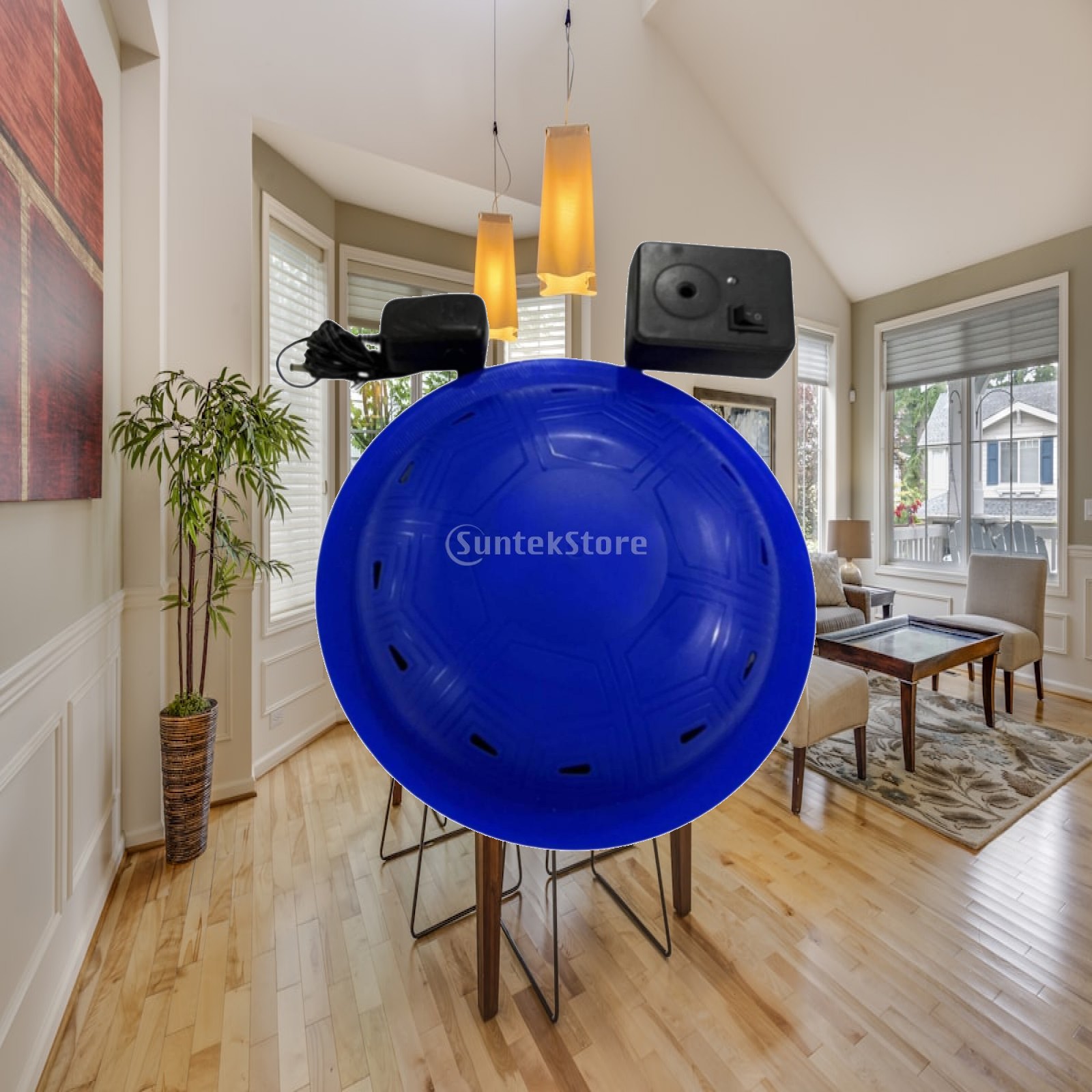 High Decibel Floating Pool Ala - огляд і ціна Pool Alarm Float